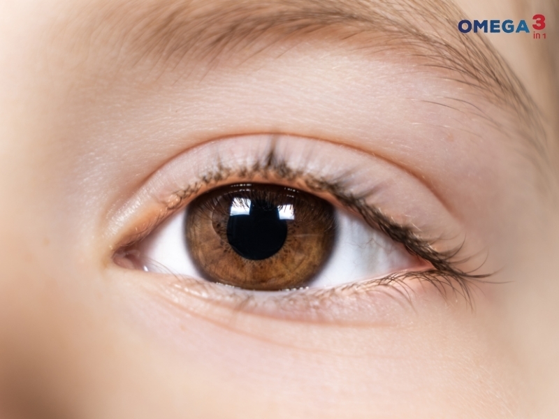 Khám Phá Lợi Ích Từ Omega 3in1 – Dưỡng Chất Từ Thiên Nhiên