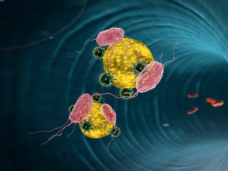 [Giải Đáp] Uống Omega-3 Giảm Cholesterol Không?