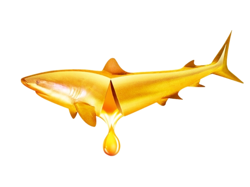 Mách Bạn 8 Loại Thực Phẩm Giàu Omega-3 Nên Bổ Sung Mỗi Ngày 5 Mách Bạn 8 Loại Thực Phẩm Giàu Omega-3 Nên Bổ Sung Mỗi Ngày