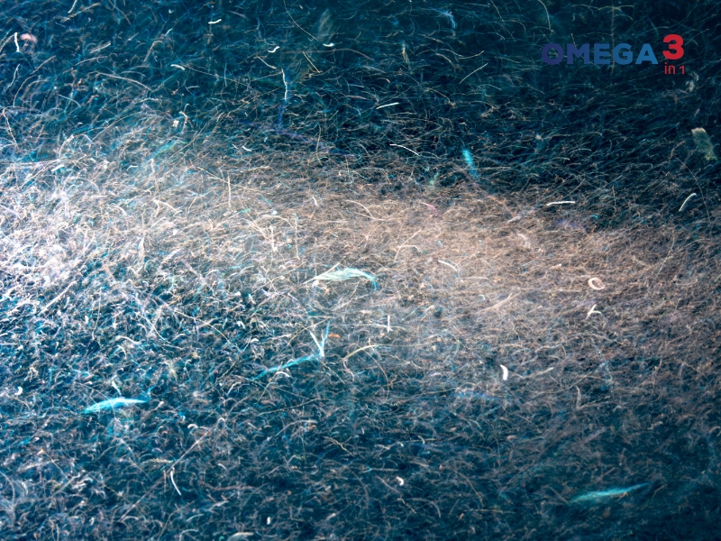 Dầu nhuyễn thể là gì? Công dụng, cách dùng và những điều cần biết