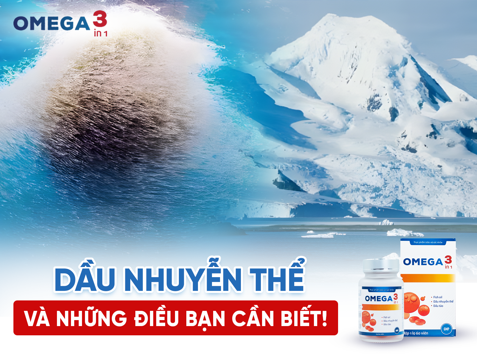 Dầu nhuyễn thể là gì? Công dụng, cách dùng và những điều cần biết