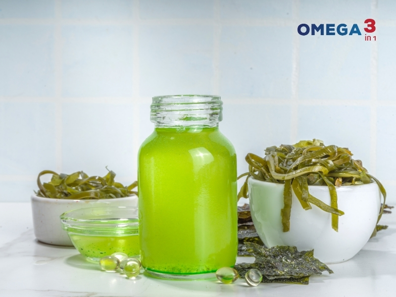 Dầu Tảo Là Gì? Công Dụng Và Những Điều Cần Biết 6 Dầu Tảo Là Gì? Công Dụng Và Những Điều Cần Biết