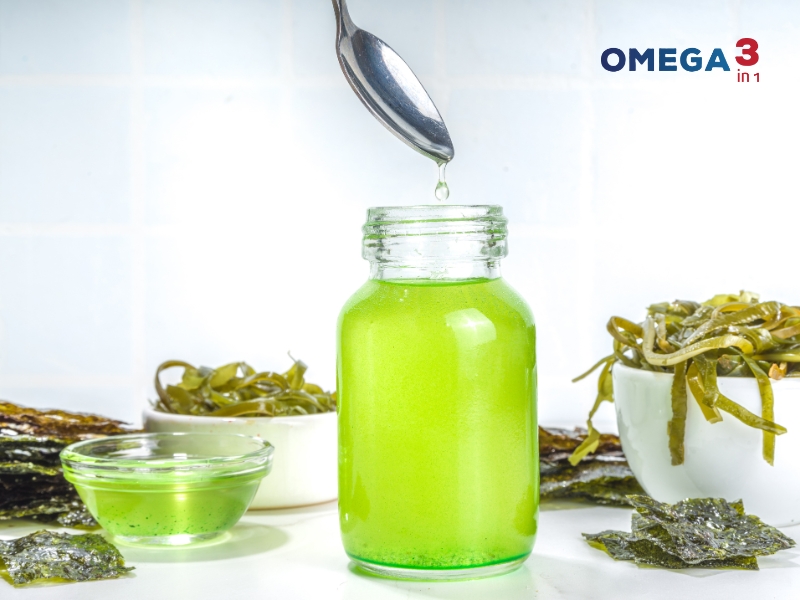 Dầu Tảo Là Gì? Công Dụng Và Những Điều Cần Biết 7 Dầu Tảo Là Gì? Công Dụng Và Những Điều Cần Biết