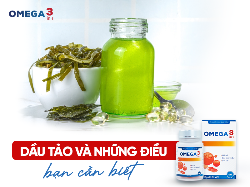 Dầu Tảo Là Gì? Công Dụng Và Những Điều Cần Biết