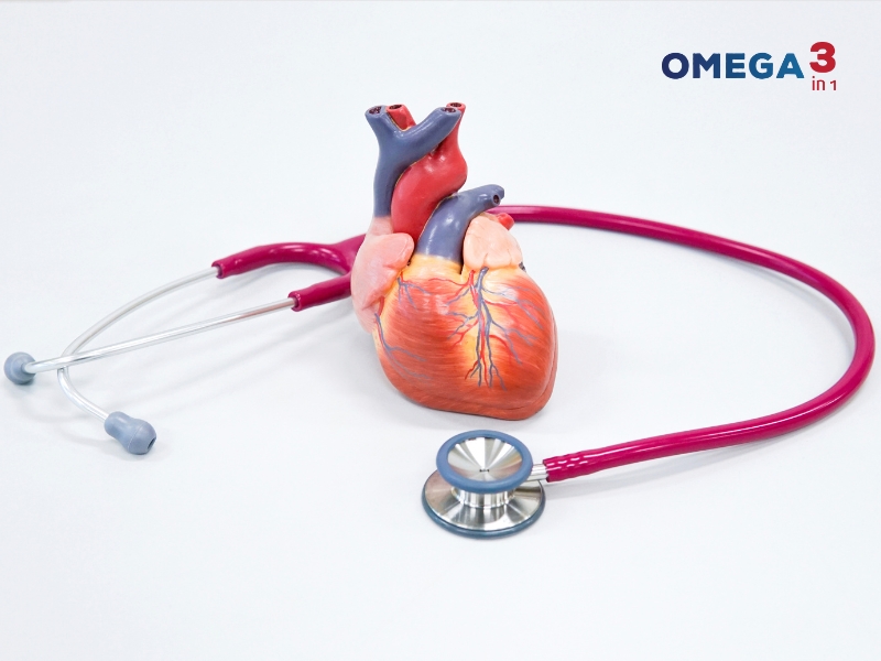 Omega 3in1 có công dụng gì?