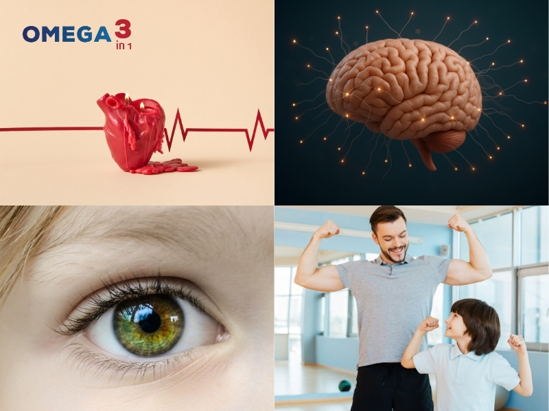 Tại Sao Nên Dùng Omega 3in1?