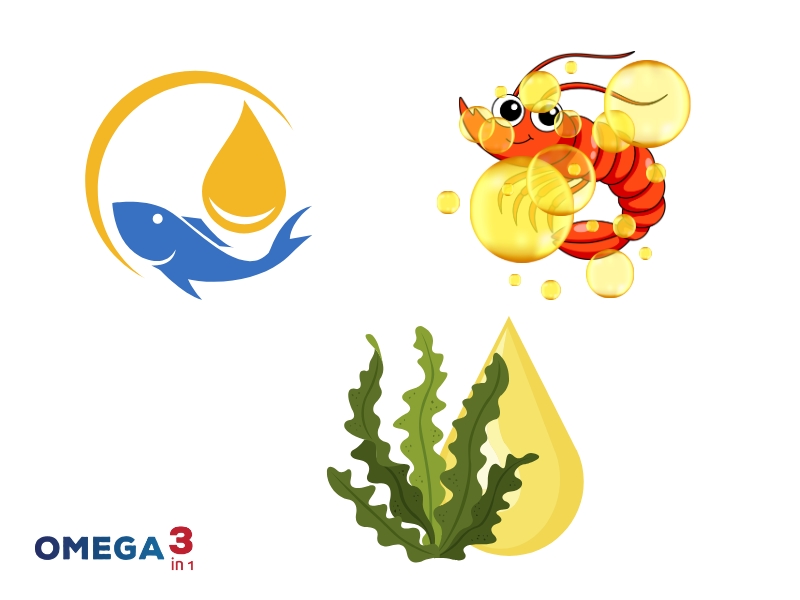Thành phần của Omega 3in1 – Sức mạnh từ ba nguồn Omega-3 tinh khiết