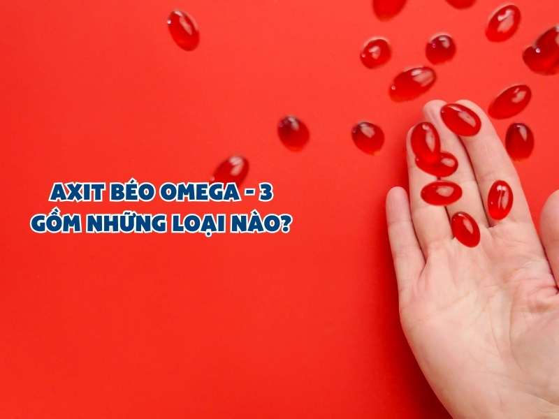 Axit Béo Omega-3 Gồm Những Loại Nào?