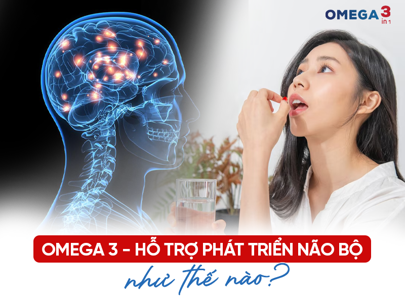 Omega-3 Hỗ Trợ Phát Triển Não Bộ Như Thế Nào?