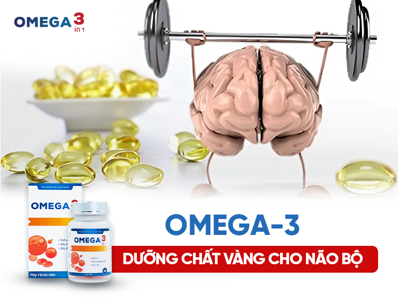 Omega-3 - Dưỡng Chất Vàng Cho Não Bộ Minh Mẫn